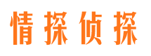 城中侦探调查公司